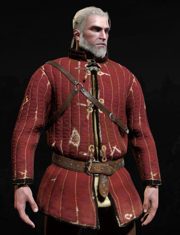 https://static.wikia.nocookie.net/witcher/images/9/9b/Shiadhal_Armor_MenuF.jpg/revision/latest/scale-to-width-down/574?cb=20190228014946